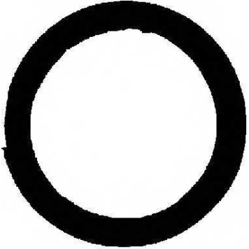 Прокладка выхлопной трубы REINZ 71-52999-00