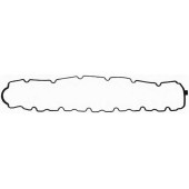 Прокладка крышки головки цилиндра REINZ 71-53199-00