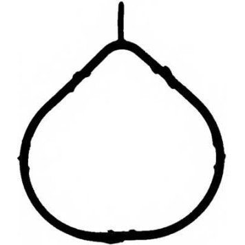 Прокладка впускного коллектора REINZ 71-53406-00