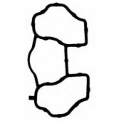 Прокладка впускного коллектора REINZ 71-53746-00