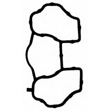 Прокладка впускного коллектора REINZ 71-53746-00