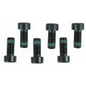 Комплект болтов маховика SACHS 1874 000 003