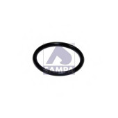 Уплотнительное кольцо SAMPA 115.569