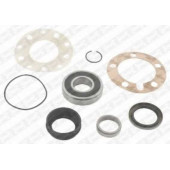 Комплект подшипника ступицы колеса SNR R169.43