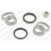 Комплект подшипника ступицы колеса SNR R170.09