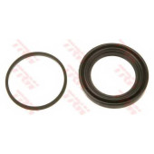 Ремкомплект тормозного суппорта TRW SJ1165