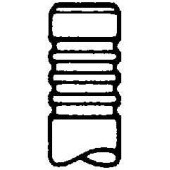 Впускной клапан TRW Engine Component 22202